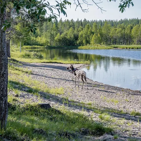 מלון Kuusamon Portti קוסאמו